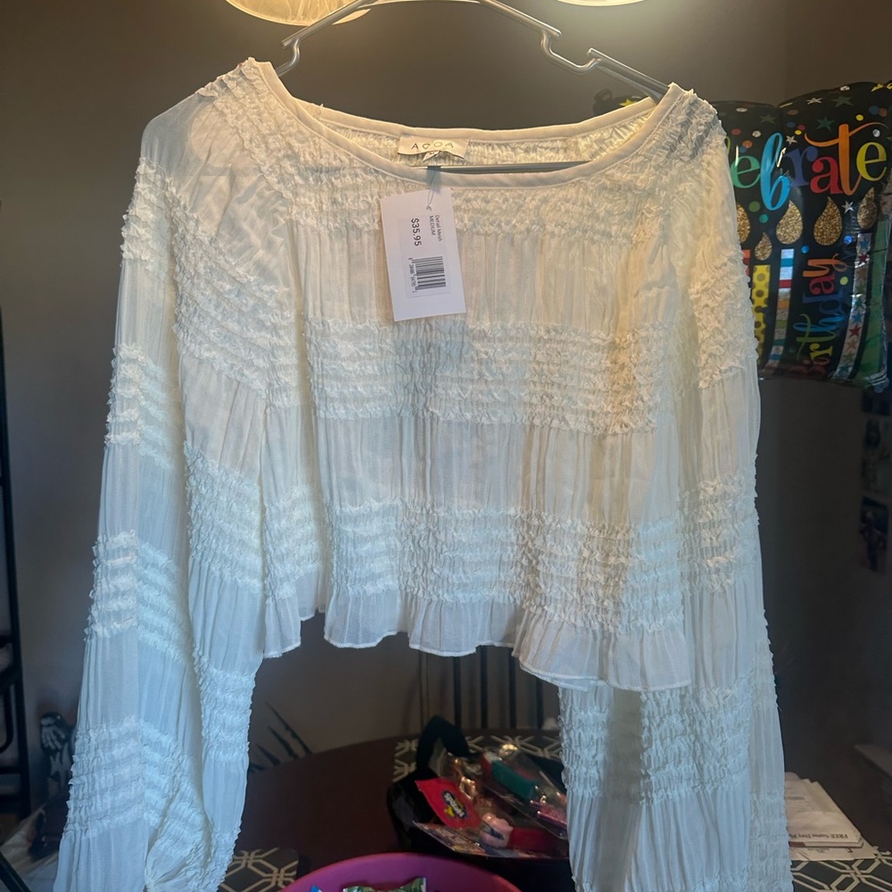White Sheer Crop Top